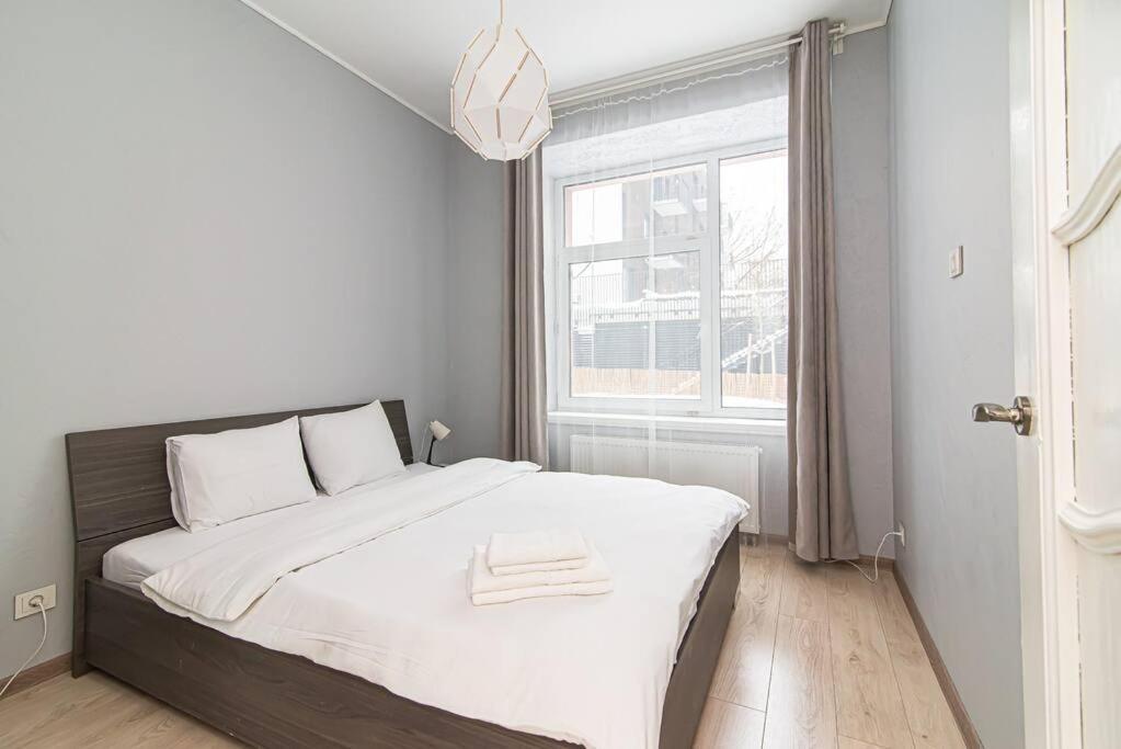 Spacious With Great Location/urban Rent Apartamento Vilna
